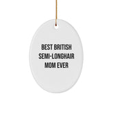 British Semi-Longhair Cat Lovers Gifts from Friends for Christmas Oval Ornament - Image 1